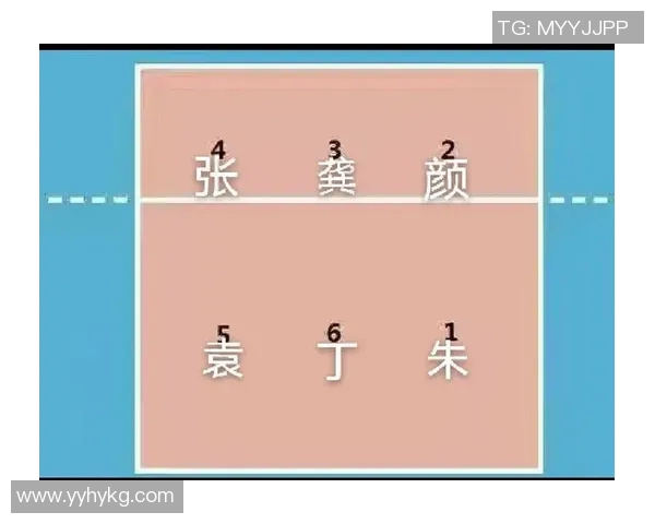 北京排球队区域防守策略解析与深度剖析排球技术的关键要素